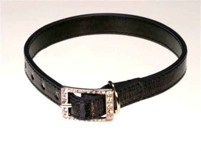 Black Neon Swarovski Dog Collar wooflink, susan lanci, dog clothes, small dog clothes, urban pup, pooch outfitters, dogo, hip doggie, doggie design, small dog dress, pet clotes, dog boutique. pet boutique, bloomingtails dog boutique, dog raincoat, dog rain coat, pet raincoat, dog shampoo, pet shampoo, dog bathrobe, pet bathrobe, dog carrier, small dog carrier, doggie couture, pet couture, dog football, dog toys, pet toys, dog clothes sale, pet clothes sale, shop local, pet store, dog store, dog chews, pet chews, worthy dog, dog bandana, pet bandana, dog halloween, pet halloween, dog holiday, pet holiday, dog teepee, custom dog clothes, pet pjs, dog pjs, pet pajamas, dog pajamas,dog sweater, pet sweater, dog hat, fabdog, fab dog, dog puffer coat, dog winter jacket, dog col