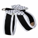 Black & Polka Dots Nouveau Bow Tinkie Harness with Trim - sl-puppolkablack