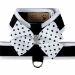 Black & Polka Dots Nouveau Bow Tinkie Harness with Trim - sl-puppolkablack
