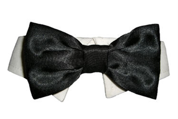 Black Satin Dog Tie Set wooflink, susan lanci, dog clothes, small dog clothes, urban pup, pooch outfitters, dogo, hip doggie, doggie design, small dog dress, pet clotes, dog boutique. pet boutique, bloomingtails dog boutique, dog raincoat, dog rain coat, pet raincoat, dog shampoo, pet shampoo, dog bathrobe, pet bathrobe, dog carrier, small dog carrier, doggie couture, pet couture, dog football, dog toys, pet toys, dog clothes sale, pet clothes sale, shop local, pet store, dog store, dog chews, pet chews, worthy dog, dog bandana, pet bandana, dog halloween, pet halloween, dog holiday, pet holiday, dog teepee, custom dog clothes, pet pjs, dog pjs, pet pajamas, dog pajamas,dog sweater, pet sweater, dog hat, fabdog, fab dog, dog puffer coat, dog winter jacket, dog col