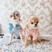 Blooming Flowers Blanket by Wooflink - wf-bloomflowersblanket
