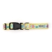 Blue Easter Eggs Collar & Lead Collection       - wd-blueeaster