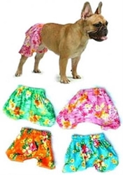 Board Shorts for Dogs dog shorts, board shorts for dogs-dog bowls,susan lanci, puppia,wooflink, luxury dog boutique,tonimari,pet clothes, dog clothes, puppy clothes, pet store, dog store, puppy boutique store, dog boutique, pet boutique, puppy boutique, Bloomingtails, dog, small dog clothes, large dog clothes, large dog costumes, small dog costumes, pet stuff, Halloween dog, puppy Halloween, pet Halloween, clothes, dog puppy Halloween, dog sale, pet sale, puppy sale, pet dog tank, pet tank, pet shirt, dog shirt, puppy shirt,puppy tank, I see spot, dog collars, dog leads, pet collar, pet lead,puppy collar, puppy lead, dog toys, pet toys, puppy toy, dog beds, pet beds, puppy bed,  beds,dog mat, pet mat, puppy mat, fab dog pet sweater, dog sweater, dog winter, pet 