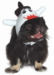 Boo Hat  puppy bed,  beds,dog mat, pet mat, puppy mat, fab dog pet sweater, dog swepet clothes, dog clothes, puppy clothes, pet store, dog store, puppy boutique store, dog boutique, pet boutique, puppy boutique, Bloomingtails, dog, small dog clothes, large dog clothes, large dog costumes, small dog costumes, pet stuff, Halloween dog, puppy Halloween, pet Halloween, clothes, dog puppy Halloween, dog sale, pet sale, puppy sale, pet dog tank, pet tank, pet shirt, dog shirt, puppy shirt,puppy tank, I see spot, dog collars, dog leads, pet collar, pet lead,puppy collar, puppy lead, dog toys, pet toys, puppy toy, dog beds, pet beds, puppy bed,  beds,dog mat, pet mat, puppy mat, fab dog pet sweater, dog sweater, dog winter, pet winter,dog raincoat, pet rai