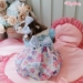 Bubble Gum Dress by Wooflink - wf-bubblegumdress