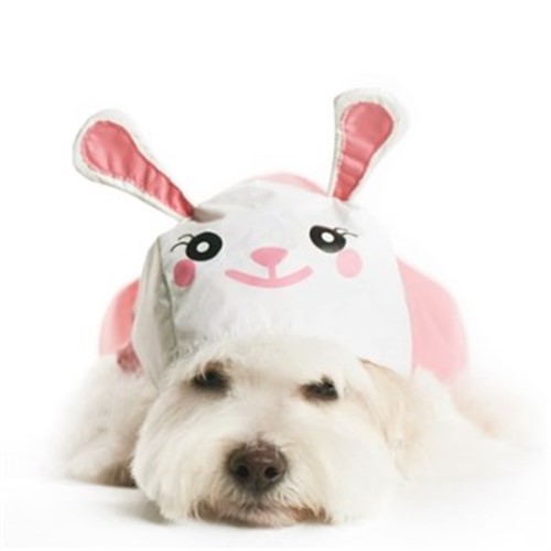 Bunny Dog Raincoat  puppy bed,  beds,dog mat, pet mat, puppy mat, fab dog pet sweater, dog swepet clothes, dog clothes, puppy clothes, pet store, dog store, puppy boutique store, dog boutique, pet boutique, puppy boutique, Bloomingtails, dog, small dog clothes, large dog clothes, large dog costumes, small dog costumes, pet stuff, Halloween dog, puppy Halloween, pet Halloween, clothes, dog puppy Halloween, dog sale, pet sale, puppy sale, pet dog tank, pet tank, pet shirt, dog shirt, puppy shirt,puppy tank, I see spot, dog collars, dog leads, pet collar, pet lead,puppy collar, puppy lead, dog toys, pet toys, puppy toy, dog beds, pet beds, puppy bed,  beds,dog mat, pet mat, puppy mat, fab dog pet sweater, dog sweater, dog winter, pet winter,dog raincoat, pet rai