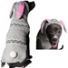 Bunny Hoodie Dog Sweater     - cd-bunny-hoodie