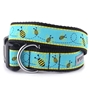 Busy Bees Collar & Lead Collection        wooflink, susan lanci, dog clothes, small dog clothes, urban pup, pooch outfitters, dogo, hip doggie, doggie design, small dog dress, pet clotes, dog boutique. pet boutique, bloomingtails dog boutique, dog raincoat, dog rain coat, pet raincoat, dog shampoo, pet shampoo, dog bathrobe, pet bathrobe, dog carrier, small dog carrier, doggie couture, pet couture, dog football, dog toys, pet toys, dog clothes sale, pet clothes sale, shop local, pet store, dog store, dog chews, pet chews, worthy dog, dog bandana, pet bandana, dog halloween, pet halloween, dog holiday, pet holiday, dog teepee, custom dog clothes, pet pjs, dog pjs, pet pajamas, dog pajamas,dog sweater, pet sweater, dog hat, fabdog, fab dog, dog puffer coat, dog winter jacket, dog col