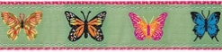 Butterflies Collar, Lead & Harness 1.25 inch  wooflink, susan lanci, dog clothes, small dog clothes, urban pup, pooch outfitters, dogo, hip doggie, doggie design, small dog dress, pet clotes, dog boutique. pet boutique, bloomingtails dog boutique, dog raincoat, dog rain coat, pet raincoat, dog shampoo, pet shampoo, dog bathrobe, pet bathrobe, dog carrier, small dog carrier, doggie couture, pet couture, dog football, dog toys, pet toys, dog clothes sale, pet clothes sale, shop local, pet store, dog store, dog chews, pet chews, worthy dog, dog bandana, pet bandana, dog halloween, pet halloween, dog holiday, pet holiday, dog teepee, custom dog clothes, pet pjs, dog pjs, pet pajamas, dog pajamas,dog sweater, pet sweater, dog hat, fabdog, fab dog, dog puffer coat, dog winter jacket, dog col