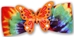 Dog Bows - Butterfly Orange Dog Hair Bow  - hb-butteroL-F17
