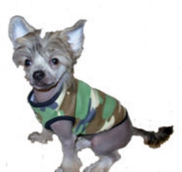 Camouflage Dog Tank  Shirt wooflink, susan lanci, dog clothes, small dog clothes, urban pup, pooch outfitters, dogo, hip doggie, doggie design, small dog dress, pet clotes, dog boutique. pet boutique, bloomingtails dog boutique, dog raincoat, dog rain coat, pet raincoat, dog shampoo, pet shampoo, dog bathrobe, pet bathrobe, dog carrier, small dog carrier, doggie couture, pet couture, dog football, dog toys, pet toys, dog clothes sale, pet clothes sale, shop local, pet store, dog store, dog chews, pet chews, worthy dog, dog bandana, pet bandana, dog halloween, pet halloween, dog holiday, pet holiday, dog teepee, custom dog clothes, pet pjs, dog pjs, pet pajamas, dog pajamas,dog sweater, pet sweater, dog hat, fabdog, fab dog, dog puffer coat, dog winter jacket, dog col