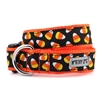 Candy Corn Dog Collar & Lead  pet clothes, dog clothes, puppy clothes, pet store, dog store, puppy boutique store, dog boutique, pet boutique, puppy boutique, Bloomingtails, dog, small dog clothes, large dog clothes, large dog costumes, small dog costumes, pet stuff, Halloween dog, puppy Halloween, pet Halloween, clothes, dog puppy Halloween, dog sale, pet sale, puppy sale, pet dog tank, pet tank, pet shirt, dog shirt, puppy shirt,puppy tank, I see spot, dog collars, dog leads, pet collar, pet lead,puppy collar, puppy lead, dog toys, pet toys, puppy toy, dog beds, pet beds, puppy bed,  beds,dog mat, pet mat, puppy mat, fab dog pet sweater, dog sweater, dog winter, pet winter,dog raincoat, pet raincoat, dog harness, puppy harness, pet harness, dog collar, dog lead, pet l