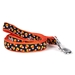 Candy Corn Dog Collar & Lead  - wd-candycorn-collar