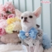 Candyfloss Dream - wf-candyflossdream