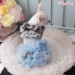 Candyfloss Dream - wf-candyflossdream