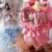 Candyfloss Dream - wf-candyflossdream