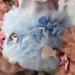 Candyfloss Dream - wf-candyflossdream
