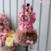 Candyfloss Dream - wf-candyflossdream