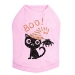 Cat & Spider Dog Shirt in Many Colors - dic-catspid