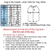 Cat & Spider Dog Shirt in Many Colors - dic-catspid