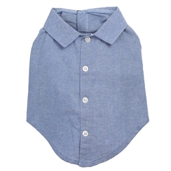 Chambray Dog Shirt     pet clothes, dog clothes, puppy clothes, pet store, dog store, puppy boutique store, dog boutique, pet boutique, puppy boutique, Bloomingtails, dog, small dog clothes, large dog clothes, large dog costumes, small dog costumes, pet stuff, Halloween dog, puppy Halloween, pet Halloween, clothes, dog puppy Halloween, dog sale, pet sale, puppy sale, pet dog tank, pet tank, pet shirt, dog shirt, puppy shirt,puppy tank, I see spot, dog collars, dog leads, pet collar, pet lead,puppy collar, puppy lead, dog toys, pet toys, puppy toy, dog beds, pet beds, puppy bed,  beds,dog mat, pet mat, puppy mat, fab dog pet sweater, dog sweater, dog winter, pet winter,dog raincoat, pet raincoat, dog harness, puppy harness, pet harness, dog collar, dog lead, pet l