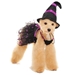 Charming Witch Costume & Hat - dgo-chwitchS-YFJ