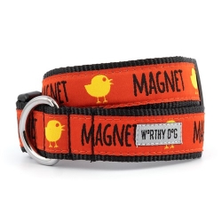 Chick Magnet Collar & Lead Collection      wooflink, susan lanci, dog clothes, small dog clothes, urban pup, pooch outfitters, dogo, hip doggie, doggie design, small dog dress, pet clotes, dog boutique. pet boutique, bloomingtails dog boutique, dog raincoat, dog rain coat, pet raincoat, dog shampoo, pet shampoo, dog bathrobe, pet bathrobe, dog carrier, small dog carrier, doggie couture, pet couture, dog football, dog toys, pet toys, dog clothes sale, pet clothes sale, shop local, pet store, dog store, dog chews, pet chews, worthy dog, dog bandana, pet bandana, dog halloween, pet halloween, dog holiday, pet holiday, dog teepee, custom dog clothes, pet pjs, dog pjs, pet pajamas, dog pajamas,dog sweater, pet sweater, dog hat, fabdog, fab dog, dog puffer coat, dog winter jacket, dog col