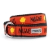 Chick Magnet Collar & Lead Collection      - wd-chickmagnet