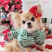 Christmas Bow by Wooflink - wf-christmasbowG-WD7