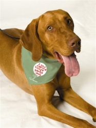 Christmas Dog Bandannas - Kissing Santa Claus wooflink, susan lanci, dog clothes, small dog clothes, urban pup, pooch outfitters, dogo, hip doggie, doggie design, small dog dress, pet clotes, dog boutique. pet boutique, bloomingtails dog boutique, dog raincoat, dog rain coat, pet raincoat, dog shampoo, pet shampoo, dog bathrobe, pet bathrobe, dog carrier, small dog carrier, doggie couture, pet couture, dog football, dog toys, pet toys, dog clothes sale, pet clothes sale, shop local, pet store, dog store, dog chews, pet chews, worthy dog, dog bandana, pet bandana, dog halloween, pet halloween, dog holiday, pet holiday, dog teepee, custom dog clothes, pet pjs, dog pjs, pet pajamas, dog pajamas,dog sweater, pet sweater, dog hat, fabdog, fab dog, dog puffer coat, dog winter jacket, dog col