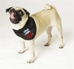 Christmas Dog Bandannas - Silent Night wooflink, susan lanci, dog clothes, small dog clothes, urban pup, pooch outfitters, dogo, hip doggie, doggie design, small dog dress, pet clotes, dog boutique. pet boutique, bloomingtails dog boutique, dog raincoat, dog rain coat, pet raincoat, dog shampoo, pet shampoo, dog bathrobe, pet bathrobe, dog carrier, small dog carrier, doggie couture, pet couture, dog football, dog toys, pet toys, dog clothes sale, pet clothes sale, shop local, pet store, dog store, dog chews, pet chews, worthy dog, dog bandana, pet bandana, dog halloween, pet halloween, dog holiday, pet holiday, dog teepee, custom dog clothes, pet pjs, dog pjs, pet pajamas, dog pajamas,dog sweater, pet sweater, dog hat, fabdog, fab dog, dog puffer coat, dog winter jacket, dog col
