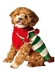 Christmas Elf Dog Sweater - cd-elf-sweater