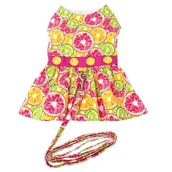 Citrus Slice Dog Dress with Matching Leash   wooflink, susan lanci, dog clothes, small dog clothes, urban pup, pooch outfitters, dogo, hip doggie, doggie design, small dog dress, pet clotes, dog boutique. pet boutique, bloomingtails dog boutique, dog raincoat, dog rain coat, pet raincoat, dog shampoo, pet shampoo, dog bathrobe, pet bathrobe, dog carrier, small dog carrier, doggie couture, pet couture, dog football, dog toys, pet toys, dog clothes sale, pet clothes sale, shop local, pet store, dog store, dog chews, pet chews, worthy dog, dog bandana, pet bandana, dog halloween, pet halloween, dog holiday, pet holiday, dog teepee, custom dog clothes, pet pjs, dog pjs, pet pajamas, dog pajamas,dog sweater, pet sweater, dog hat, fabdog, fab dog, dog puffer coat, dog winter jacket, dog col