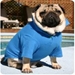 Classic Dog Polo Shirt - Blue - VIP-blpoloX-NUT