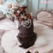 Classy & Fabulous by Wooflink - wf-classyfabulous