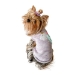 Collectors Edition My Golden Unicorn Sweater - on-goldenuni