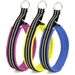 ComfortFlex Limited Slip Dog Collar - comf-collarBS-WTT
