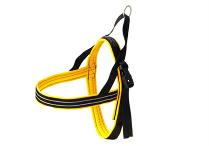 ComfortFlex Sport Harness puppy bed,  beds,dog mat, pet mat, puppy mat, fab dog pet sweater, dog swepet clothes, dog clothes, puppy clothes, pet store, dog store, puppy boutique store, dog boutique, pet boutique, puppy boutique, Bloomingtails, dog, small dog clothes, large dog clothes, large dog costumes, small dog costumes, pet stuff, Halloween dog, puppy Halloween, pet Halloween, clothes, dog puppy Halloween, dog sale, pet sale, puppy sale, pet dog tank, pet tank, pet shirt, dog shirt, puppy shirt,puppy tank, I see spot, dog collars, dog leads, pet collar, pet lead,puppy collar, puppy lead, dog toys, pet toys, puppy toy, dog beds, pet beds, puppy bed,  beds,dog mat, pet mat, puppy mat, fab dog pet sweater, dog sweater, dog winter, pet winter,dog raincoat, pet rain