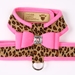Contrasting Color Tinkie Cheetah Dog Harness by Susan Lanci in Many Colors - sl-tinkiecontrast