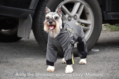 Cozy Suit  wooflink, susan lanci, dog clothes, small dog clothes, urban pup, pooch outfitters, dogo, hip doggie, doggie design, small dog dress, pet clotes, dog boutique. pet boutique, bloomingtails dog boutique, dog raincoat, dog rain coat, pet raincoat, dog shampoo, pet shampoo, dog bathrobe, pet bathrobe, dog carrier, small dog carrier, doggie couture, pet couture, dog football, dog toys, pet toys, dog clothes sale, pet clothes sale, shop local, pet store, dog store, dog chews, pet chews, worthy dog, dog bandana, pet bandana, dog halloween, pet halloween, dog holiday, pet holiday, dog teepee, custom dog clothes, pet pjs, dog pjs, pet pajamas, dog pajamas,dog sweater, pet sweater, dog hat, fabdog, fab dog, dog puffer coat, dog winter jacket, dog col