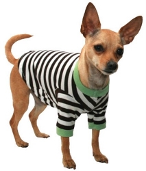 Crown Striped Dog Tee Shirt dog bowls,susan lanci, puppia,wooflink, luxury dog boutique,tonimari,pet clothes, dog clothes, puppy clothes, pet store, dog store, puppy boutique store, dog boutique, pet boutique, puppy boutique, Bloomingtails, dog, small dog clothes, large dog clothes, large dog costumes, small dog costumes, pet stuff, Halloween dog, puppy Halloween, pet Halloween, clothes, dog puppy Halloween, dog sale, pet sale, puppy sale, pet dog tank, pet tank, pet shirt, dog shirt, puppy shirt,puppy tank, I see spot, dog collars, dog leads, pet collar, pet lead,puppy collar, puppy lead, dog toys, pet toys, puppy toy, dog beds, pet beds, puppy bed,  beds,dog mat, pet mat, puppy mat, fab dog pet sweater, dog sweater, dog winter, pet winter,dog raincoat, pet raincoat,