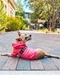Cute AF Dog Hoodie - lb-cuteaf-hoodie