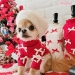 Cute Little Bows Turtleneck by Wooflink - wf-cutebbows