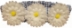 Daisy Scrunchies-Many Colors - Ptplt-scrunchiesB-JXP