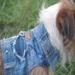 Denim Patch Dog Jacket  - mck-denimpatch-jacket