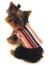 Designer Striped Reversible Dog Coat puppy bed,  beds,dog mat, pet mat, puppy mat, fab dog pet sweater, dog swepet clothes, dog clothes, puppy clothes, pet store, dog store, puppy boutique store, dog boutique, pet boutique, puppy boutique, Bloomingtails, dog, small dog clothes, large dog clothes, large dog costumes, small dog costumes, pet stuff, Halloween dog, puppy Halloween, pet Halloween, clothes, dog puppy Halloween, dog sale, pet sale, puppy sale, pet dog tank, pet tank, pet shirt, dog shirt, puppy shirt,puppy tank, I see spot, dog collars, dog leads, pet collar, pet lead,puppy collar, puppy lead, dog toys, pet toys, puppy toy, dog beds, pet beds, puppy bed,  beds,dog mat, pet mat, puppy mat, fab dog pet sweater, dog sweater, dog winter, pet winter,dog raincoat, pet rain