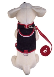 Dog Backpacks Harness & Lead-Many Colors pet clothes, dog clothes, puppy clothes, pet store, dog store, puppy boutique store, dog boutique, pet boutique, puppy boutique, Bloomingtails, dog, small dog clothes, large dog clothes, large dog costumes, small dog costumes, pet stuff, Halloween dog, puppy Halloween, pet Halloween, clothes, dog puppy Halloween, dog sale, pet sale, puppy sale, pet dog tank, pet tank, pet shirt, dog shirt, puppy shirt,puppy tank, I see spot, dog collars, dog leads, pet collar, pet lead,puppy collar, puppy lead, dog toys, pet toys, puppy toy, dog beds, pet beds, puppy bed,  beds,dog mat, pet mat, puppy mat, fab dog pet sweater, dog sweater, dog winter, pet winter,dog raincoat, pet raincoat, dog harness, puppy harness, pet harness, dog collar, dog lead, pet l