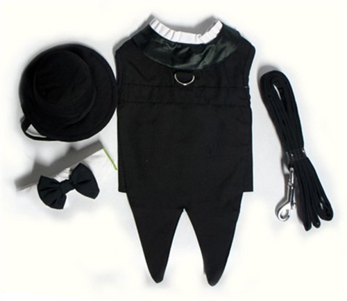 Dog Tuxedos - Classic Black dog bowls,susan lanci, puppia,wooflink, luxury dog boutique,tonimari,pet clothes, dog clothes, puppy clothes, pet store, dog store, puppy boutique store, dog boutique, pet boutique, puppy boutique, Bloomingtails, dog, small dog clothes, large dog clothes, large dog costumes, small dog costumes, pet stuff, Halloween dog, puppy Halloween, pet Halloween, clothes, dog puppy Halloween, dog sale, pet sale, puppy sale, pet dog tank, pet tank, pet shirt, dog shirt, puppy shirt,puppy tank, I see spot, dog collars, dog leads, pet collar, pet lead,puppy collar, puppy lead, dog toys, pet toys, puppy toy, dog beds, pet beds, puppy bed,  beds,dog mat, pet mat, puppy mat, fab dog pet sweater, dog sweater, dog winter, pet winter,dog raincoat, pet raincoat,