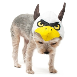 Eagle Hat  Roxy & Lulu, wooflink, susan lanci, dog clothes, small dog clothes, urban pup, pooch outfitters, dogo, hip doggie, doggie design, small dog dress, pet clotes, dog boutique. pet boutique, bloomingtails dog boutique, dog raincoat, dog rain coat, pet raincoat, dog shampoo, pet shampoo, dog bathrobe, pet bathrobe, dog carrier, small dog carrier, doggie couture, pet couture, dog football, dog toys, pet toys, dog clothes sale, pet clothes sale, shop local, pet store, dog store, dog chews, pet chews, worthy dog, dog bandana, pet bandana, dog halloween, pet halloween, dog holiday, pet holiday, dog teepee, custom dog clothes, pet pjs, dog pjs, pet pajamas, dog pajamas,dog sweater, pet sweater, dog hat, fabdog, fab dog, dog puffer coat, dog winter ja