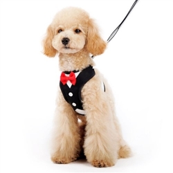 EasyGo Bowtie Dog Harness & Lead  puppy bed,  beds,dog mat, pet mat, puppy mat, fab dog pet sweater, dog swepet clothes, dog clothes, puppy clothes, pet store, dog store, puppy boutique store, dog boutique, pet boutique, puppy boutique, Bloomingtails, dog, small dog clothes, large dog clothes, large dog costumes, small dog costumes, pet stuff, Halloween dog, puppy Halloween, pet Halloween, clothes, dog puppy Halloween, dog sale, pet sale, puppy sale, pet dog tank, pet tank, pet shirt, dog shirt, puppy shirt,puppy tank, I see spot, dog collars, dog leads, pet collar, pet lead,puppy collar, puppy lead, dog toys, pet toys, puppy toy, dog beds, pet beds, puppy bed,  beds,dog mat, pet mat, puppy mat, fab dog pet sweater, dog sweater, dog winter, pet winter,dog raincoat, pet rai